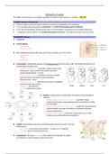 Mechanics of Labour