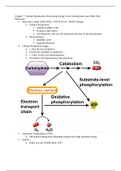 Cellular Respiration