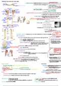 Arm & Cubital Fossa