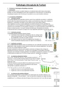 Pathologie chirurgicale de l'enfant