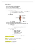 Midterm Study Sheet