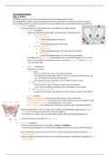 Anatomie baringskanaal 