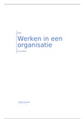 Organisatieverslag 