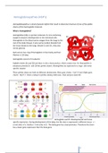 Samenvatting Minor Molecular Diagnostics/ HLO/HSL