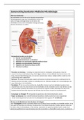 Samenvatting leerdoelen Medische Microbiologie