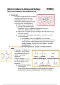 Cellular/Molecular Biology, Cellular Chemistry and Proteins