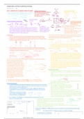 Chemistry of the Carbonyl Group