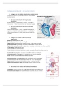 Geneeskunde hartcirculatie 