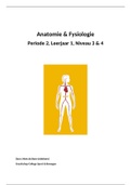 Anatomie Hoofdstuk 2 - Warmteregulatie, Stofwisseling en spijsvertering