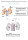 Adrenal hormones