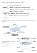 human physiology notes