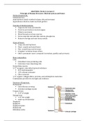 SKELETAL SYSTEM AND BONES 