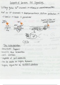 Cell Biology and Physiology (BSCI330) Ch. 16 Notes