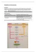 Samenvatting biochemie blok 2.2 voeding en diëtetiek 