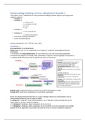 Samenvatting Inleiding recht & arbeidsrecht 