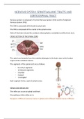 CNS, SPINOTHALAMIC TRACTS, CORTICOSPINAL TRACT AND BROWN SEQUARD SYNDROME