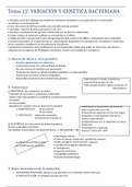 Tema 12 Microbiología