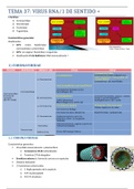 Tema 37 Microbiología