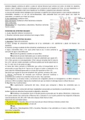 Tema 25 Fisiología Animal