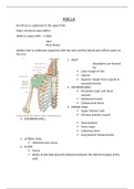 Shoulder region and Axilla