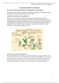 Samenvatting / vertaling Campbell 10e editie hoofdstuk 30: Zaadplanten