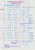 Organische Chemie Zusammenfassung