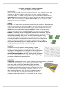 VWO Chemie Scheikunde Hoofdstuk 19 'Moderne materialen'