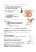 Lecture 3 -- Human Development -- Female reproductive System