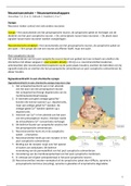 NEUROWETENSCHAPPEN - Neurotransmissie - Samenvatting - 2018/2019