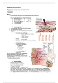 Fysiologie thema 4