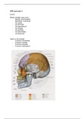 MRI Periode 3