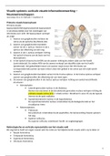 NEUROWETENSCHAPPEN - Visuele systeem: corticale visuele informatieverwerking - Samenvatting - 2018/2019