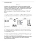 M2 Trial Balance (Sheet Not Included)