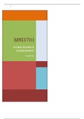 MNB3701 EXAM PACKAGE 2020