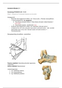 Anatomie (klinische en functionele anatomie van enkel, knie en heup)