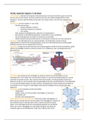 HCO6, toxiciteit in de lever