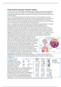 HCO8, toxische respons respiratoir systeem