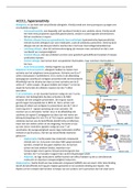 HCO11, hypersensitivity