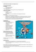 Samenvatting Endocrinologie en Dermatologie vraagstukken KDD