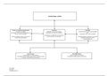 uitgewerkt ICF-model