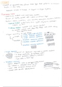 IB Biology HL - Digestive System