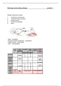 Pathologie 4 samenvatting 