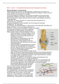 Samenvatting MB + FT + GC, jaar 1, blok 2 (bovenste extremiteit)
