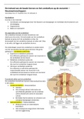 NEUROWETENSCHAPPEN - De invloed van de basale kernen en het cerebellum op de motoriek - Samenvatting - 2018/2019