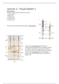 Minor Biomolecular Sciences and Neurosciences