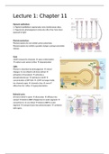 Summary Neuronal Networks and Behavior