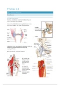 Samenvatting Theorie Blok 1.3 - Orthopedie onderste extremiteit