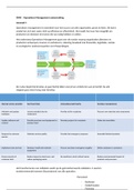 Operations Management samenvatting