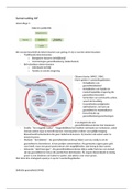 Samenvatting Interventie Ontwikkeling Fase 1 (IOF1), sportkunde leerjaar 2