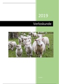 verloskunde schaap